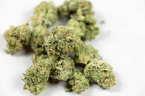 A pile of marijuana that might make someone as is marijuana a gateway drug