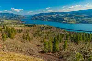 Alcohol Rehab Center near Bingen