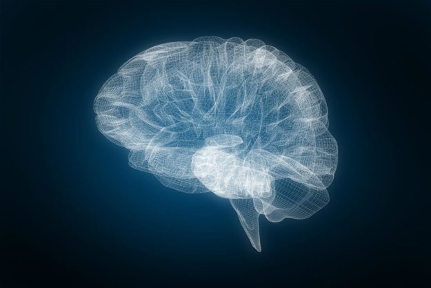 An X-ray showing how Adderall affects the brain