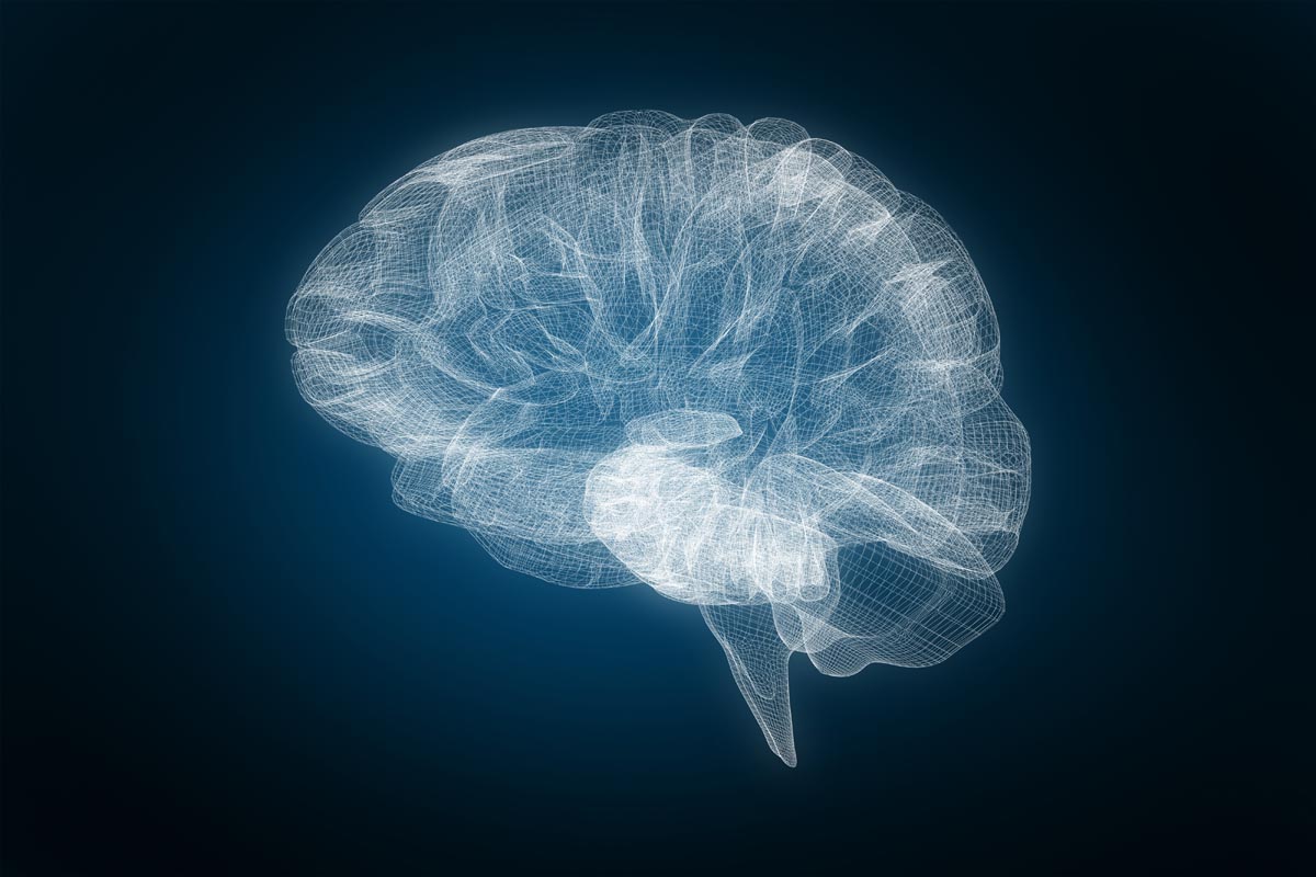 An X-ray showing how Adderall affects the brain